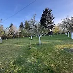 Sarajevo Green Spot